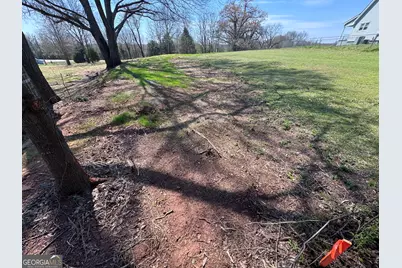 0 River Ridge, Carnesville, GA 30521 - Photo 20
