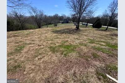 0 River Ridge, Carnesville, GA 30521 - Photo 10