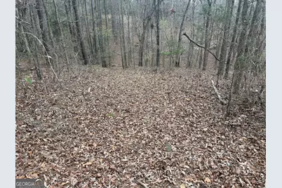0 Gregg Shoals Drive, Elberton, GA 30635 - Photo 10