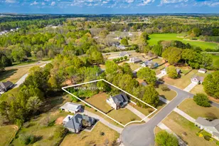 303 McKendree Ct, Bethlehem, GA 30620 - Photo 4