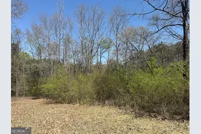 78 Mullinax Road, Taylorsville, GA 30178 - Photo 8