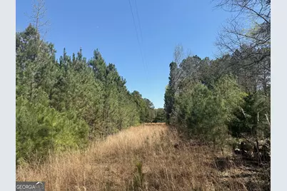 78 Mullinax Road, Taylorsville, GA 30178 - Photo 6