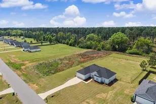 128 Scarlet Wy, Leesburg, GA 31763 - Photo 4