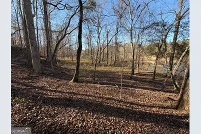 0 Hwy 36 #LOT 5, Woodland, GA 31836 - Photo 8