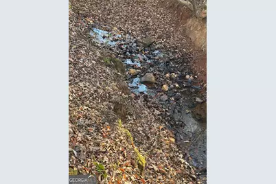 0 Hwy 36 #LOT 5, Woodland, GA 31836 - Photo 20