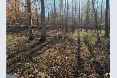 0 Hwy 36 #LOT 5, Woodland, GA 31836 - Photo 12