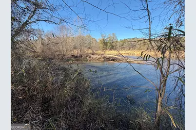 0 Hwy 36 #LOT 5, Woodland, GA 31836 - Photo 6