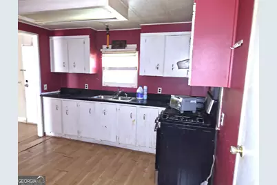 12122 Warm Springs Road, Ellerslie, GA 31807 - Photo 4