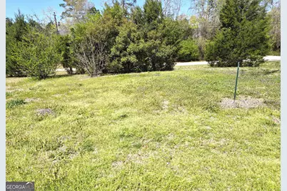 12122 Warm Springs Road, Ellerslie, GA 31807 - Photo 16