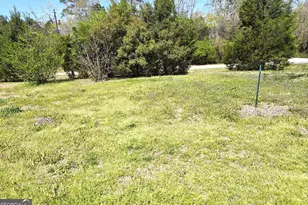 12122 Warm Springs Rd, Ellerslie, GA 31807 - Photo 16