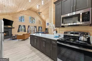 339 Hickory Ridge Dr, Cleveland, GA 30528 - Photo 8