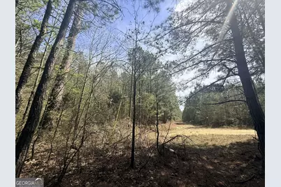 15 Hollis Norman Road, Tignall, GA 30668 - Photo 1