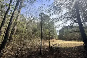 15 Hollis Norman Rd, Tignall, GA 30668 - Photo 1