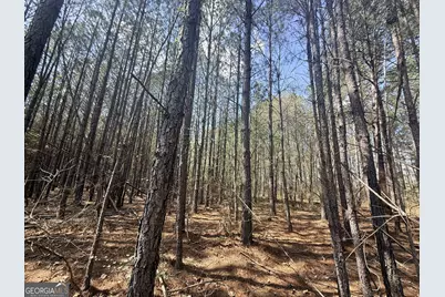 15 Hollis Norman Road, Tignall, GA 30668 - Photo 10