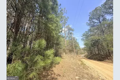 15 Hollis Norman Road, Tignall, GA 30668 - Photo 8