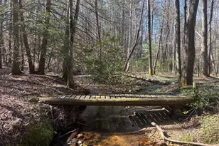 127 Black Forest Ln, Blairsville, GA 30512 - Photo 70