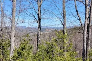 2081 Gallatin Rd, Young Harris, GA 30582 - Photo 32