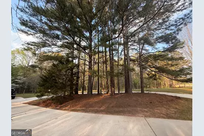 1205 County Line Road, Griffin, GA 30224 - Photo 30