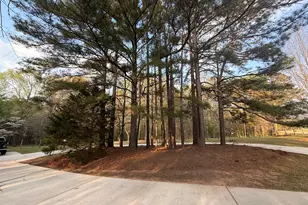 1205 County Line Rd, Griffin, GA 30224 - Photo 30