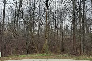 4638 Enfield Dr, Gainesville, GA 30506 - Photo 1