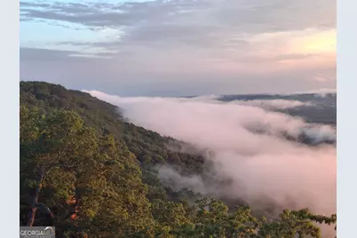 7896 Old State Road, Menlo, GA 30731 - Photo 6