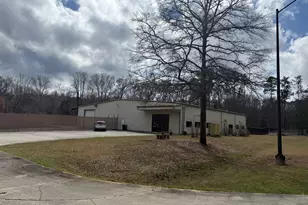 300 Delano Dr, Manchester, GA 31816 - Photo 1