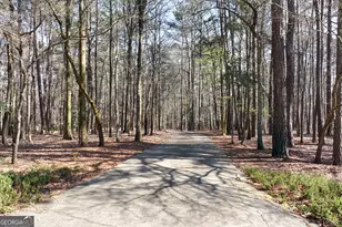 260 Brushy Creek Cir, Jackson, GA 30233 - Photo 82