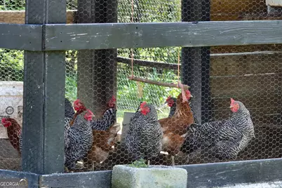 123 Mathews Road, Milner, GA 30257 - Photo 42