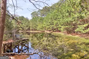 1679 Hodgeville Rd, Rincon, GA 31326 - Photo 26