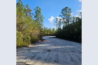 0 Mill Branch Club Road 1E, Pembroke, GA 31321 - Photo 1