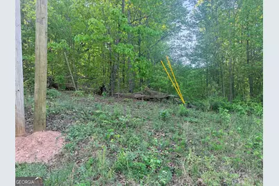 0 Mt View Circle, Bremen, GA 30110 - Photo 6