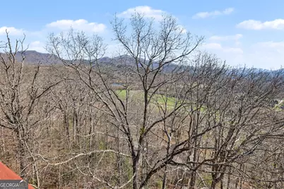 1613 Clark Drive, Hiawassee, GA 30546 - Photo 54