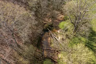 401 Herrin Rd, Cornelia, GA 30531 - Photo 74