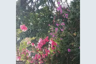 2572 Pembrooke Way, Lawrenceville, GA 30044 - Photo 32