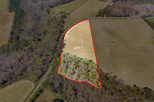 0 Stilson-Leefield Rd Lot 1, Brooklet, GA 30415 - Photo 1