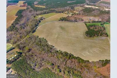 0 Stilson Leefield Rd Lot 1, Brooklet, GA 30415 - Photo 12