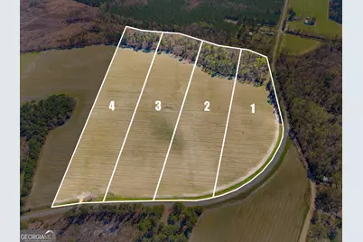 0 Stilson Leefield Rd Lot 3, Brooklet, GA 30415 - Photo 2