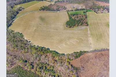 0 Stilson Leefield Rd Lot 3, Brooklet, GA 30415 - Photo 8