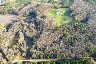 2218 Cross Plains Hulett Rd, Carrollton, GA 30116 - Photo 120