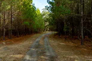 4577 N Coastal Hwy, Fleming, GA 31309 - Photo 88