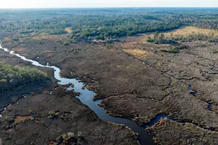 4577 N Coastal Hwy, Fleming, GA 31309 - Photo 84