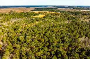 4577 N Coastal Hwy, Fleming, GA 31309 - Photo 96