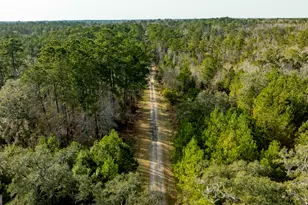 4577 N Coastal Hwy, Fleming, GA 31309 - Photo 92