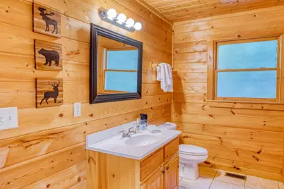 307 Bent Wood Lane, Blue Ridge, GA 30513 - Photo 24