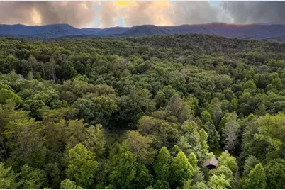 307 Bent Wood Lane, Blue Ridge, GA 30513 - Photo 6