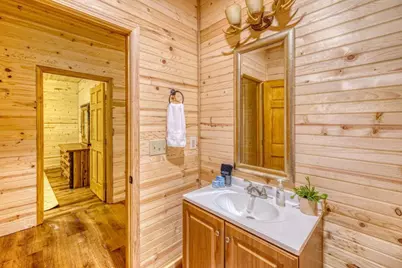 307 Bent Wood Lane, Blue Ridge, GA 30513 - Photo 58