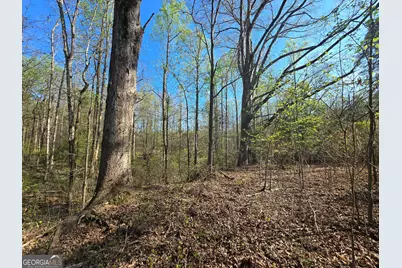 0 Willis Glenn Rd, Hull, GA 30646 - Photo 8