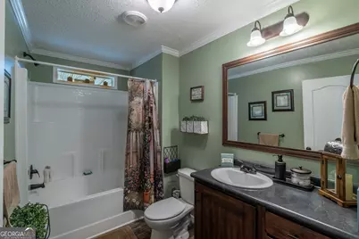 346 Gum Creek Rd, Roopville, GA 30170 - Photo 34