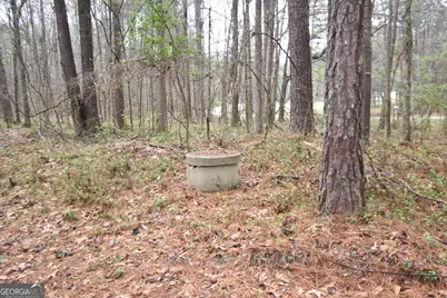 955 Cheatham Road, Griffin, GA 30223 - Photo 4