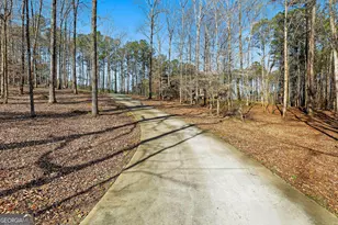 2317 Old Corinth Rd, Newnan, GA 30263 - Photo 38